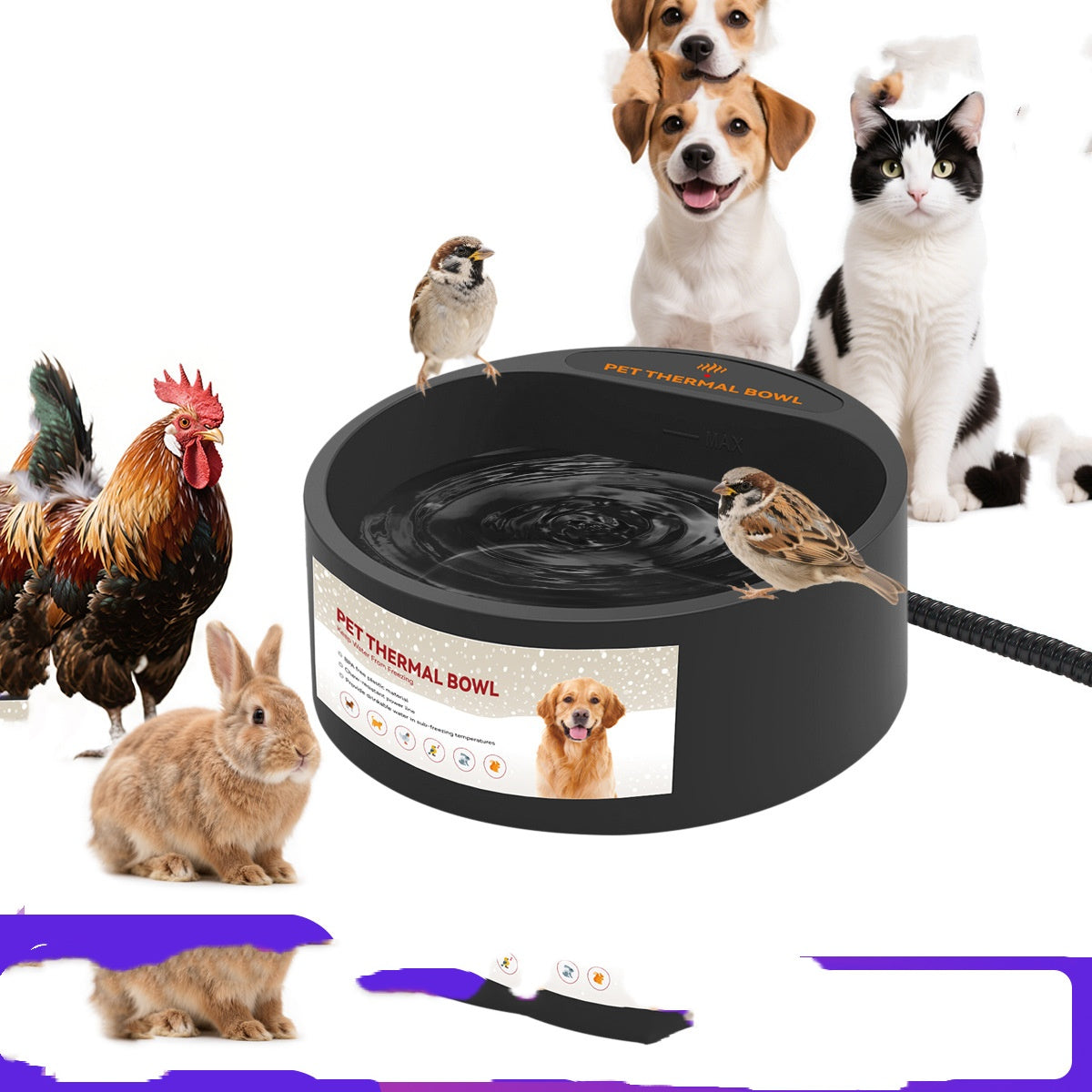 Pet Bowl Heating Constant Temperature