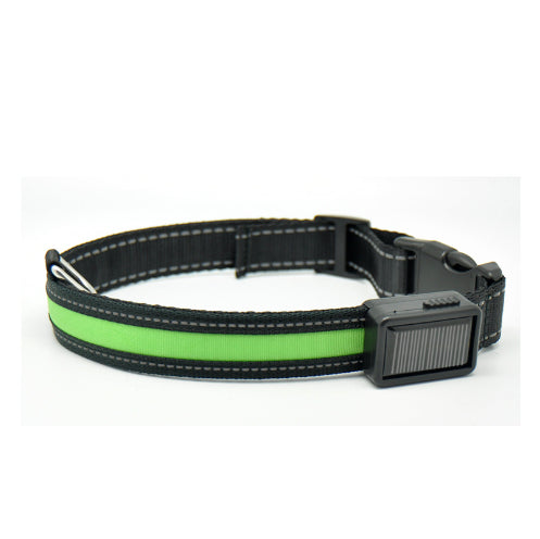 Fluorescent Dog Safety Collar