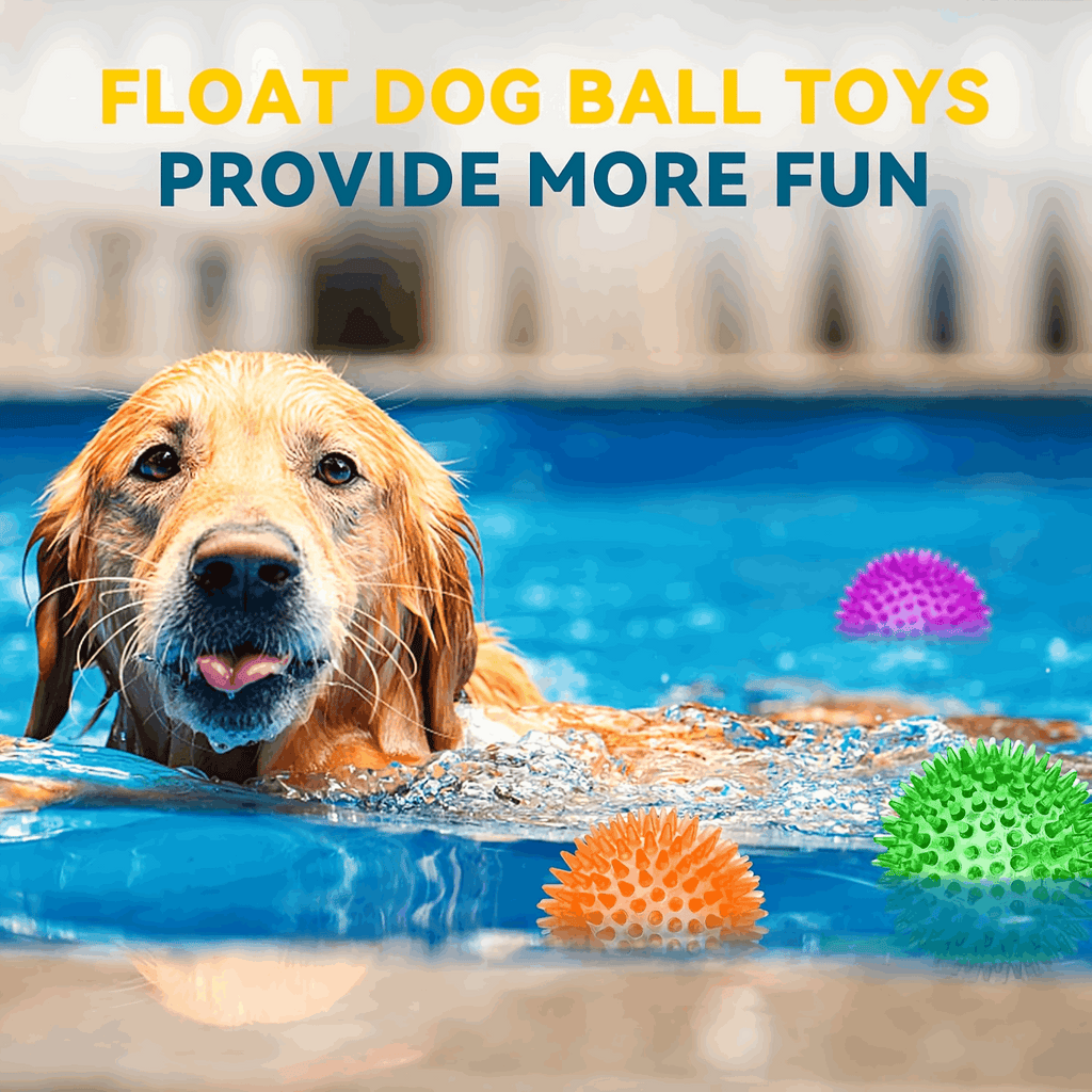 2.5” Squeaky Interactive Dog Balls for Puppy Teething