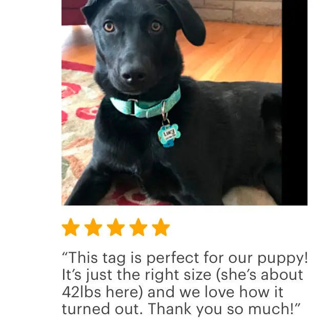 Star Pet Tag - Custom