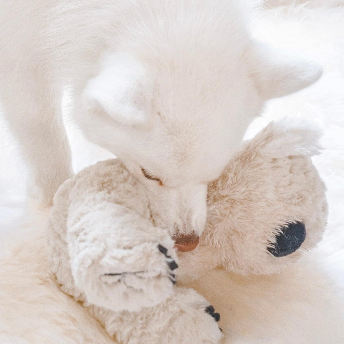 Fur Elise Koko Plush Toy