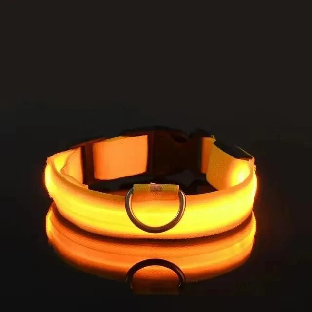 Nylon Light-Up Safety Collar with Reflective Glow and 3 Flashing Modes
