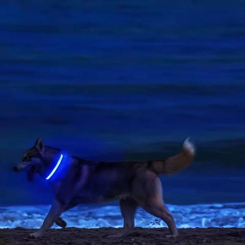 Nylon Light-Up Safety Collar with Reflective Glow and 3 Flashing Modes