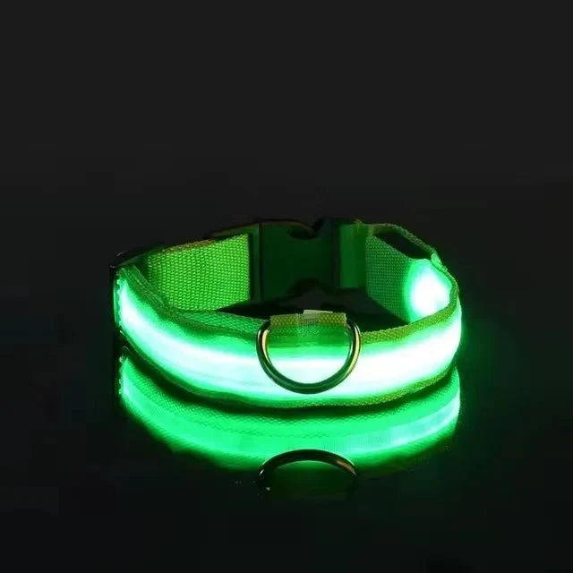 Nylon Light-Up Safety Collar with Reflective Glow and 3 Flashing Modes