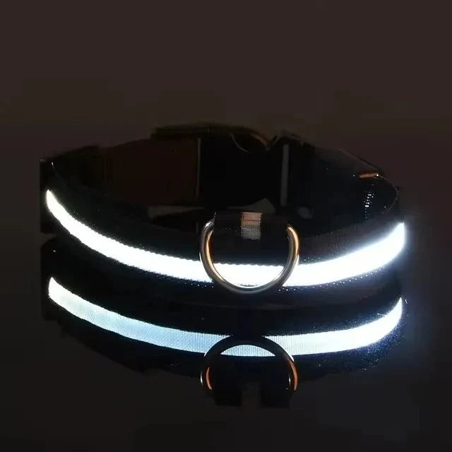 Nylon Light-Up Safety Collar with Reflective Glow and 3 Flashing Modes