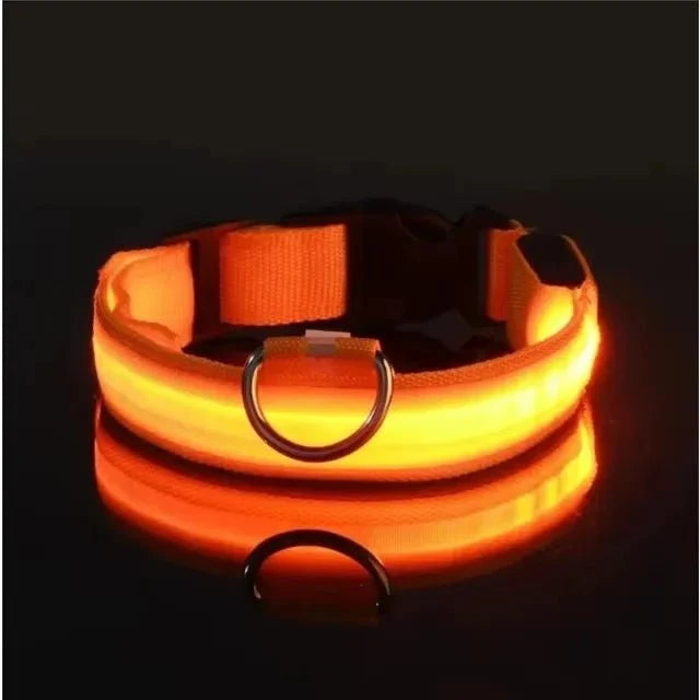 Nylon Light-Up Safety Collar with Reflective Glow and 3 Flashing Modes