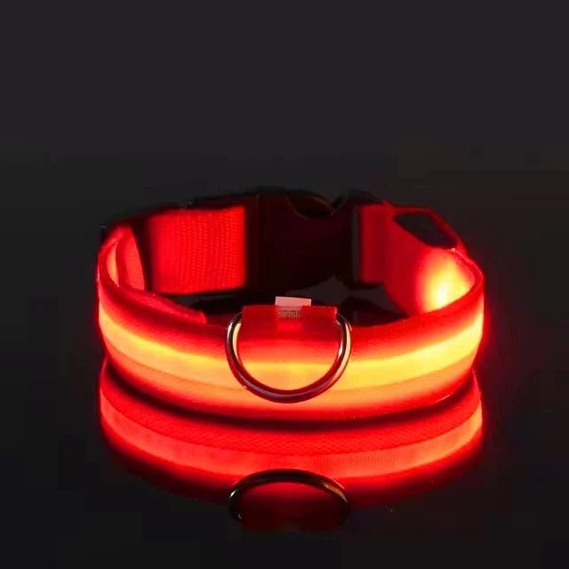 Nylon Light-Up Safety Collar with Reflective Glow and 3 Flashing Modes