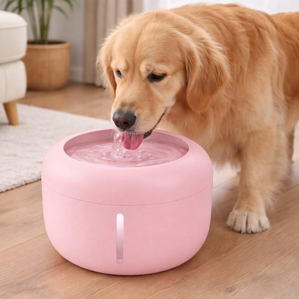Ultra-Quite Filtered Fountain Waterer