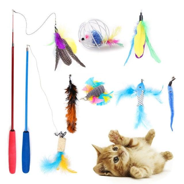 Interactive Pet Toys Assortment