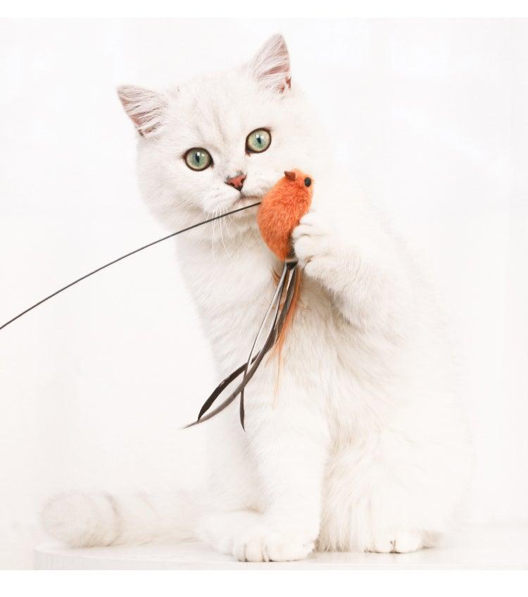 Funny Feather Bird with Bell Cat Stick Toy for Kitten Playing