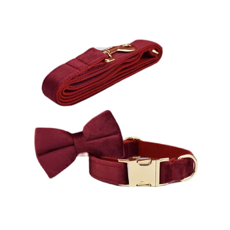Red Wine Velvet Harness Set