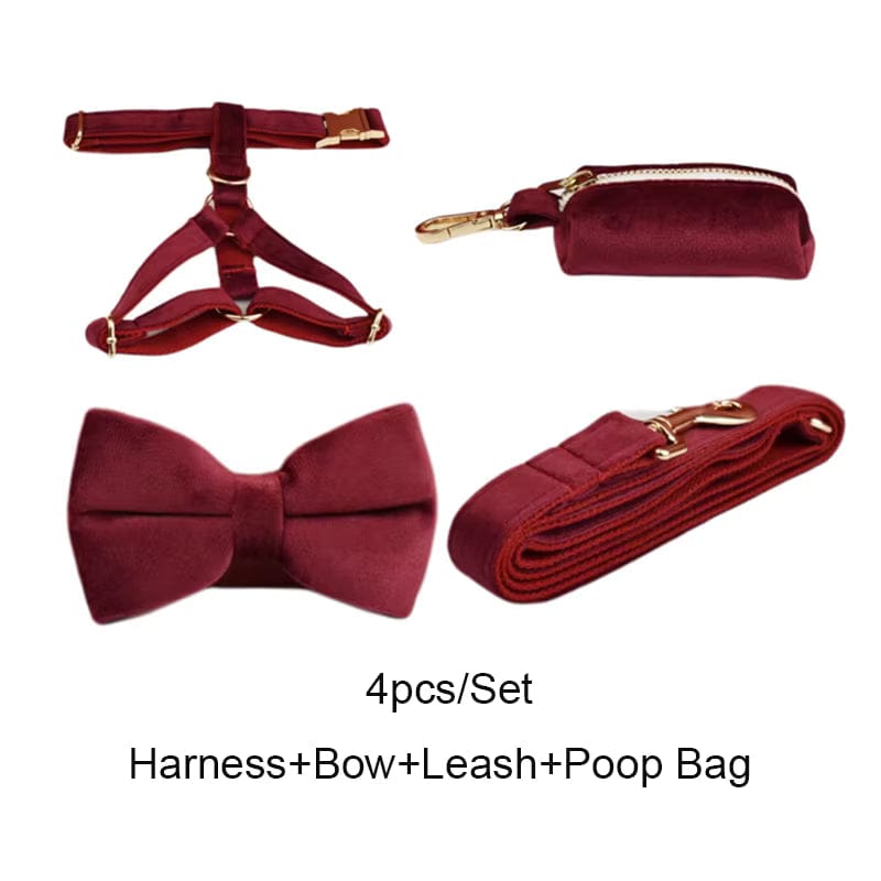 Red Wine Velvet Harness Set