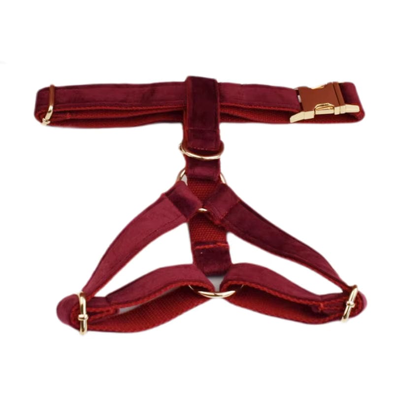 Red Wine Velvet Harness Set