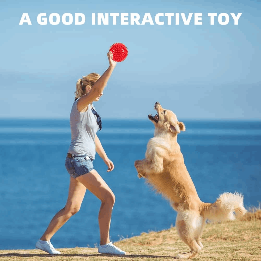 2.5” Squeaky Interactive Dog Balls for Puppy Teething
