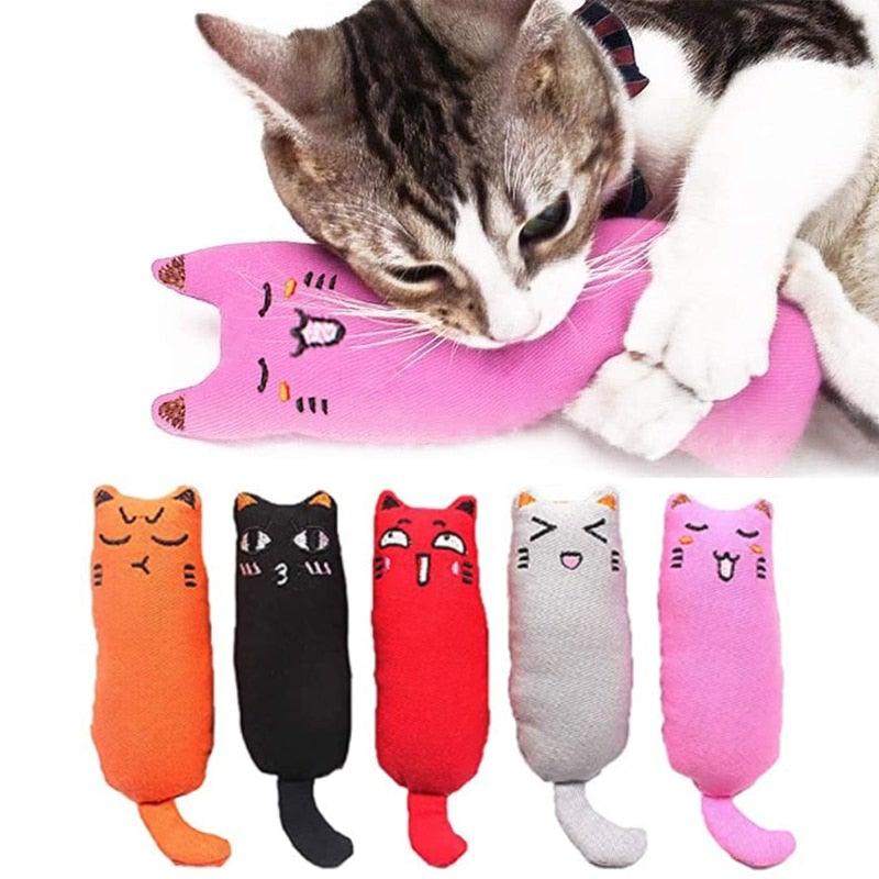 Catnip Cat Toy