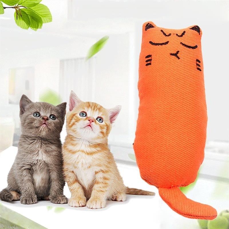 Catnip Cat Toy