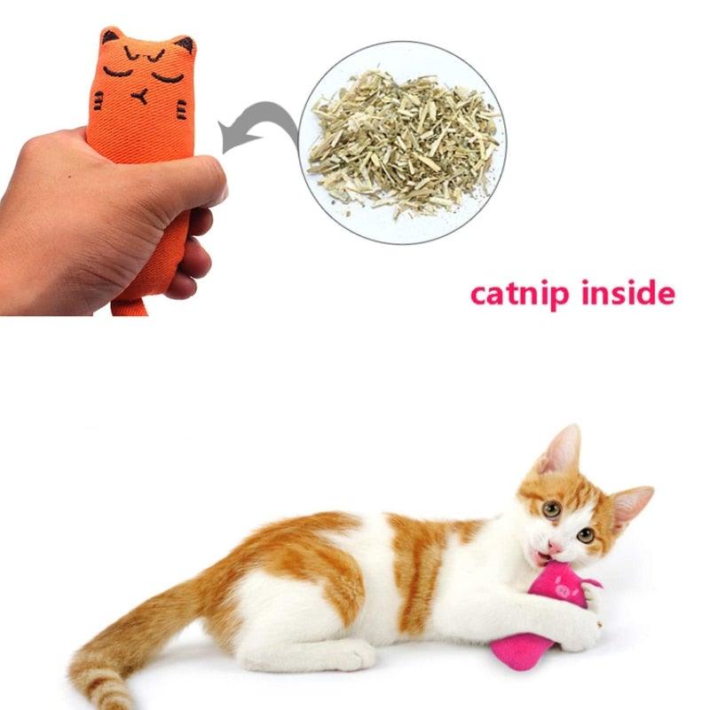 Catnip Cat Toy