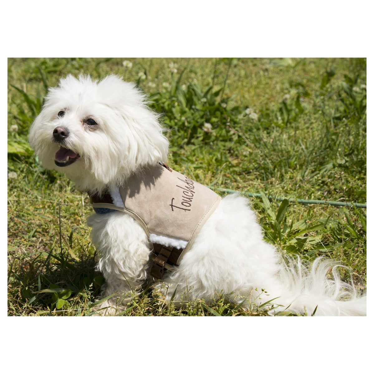 'Tough-Boutique' 2-in-1 Adjustable Fashion Dog Harness and Leash