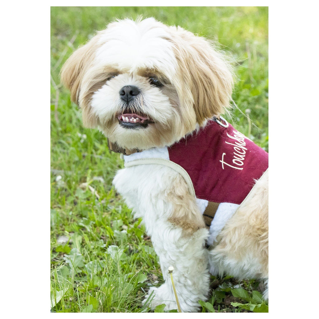 'Tough-Boutique' 2-in-1 Adjustable Fashion Dog Harness and Leash