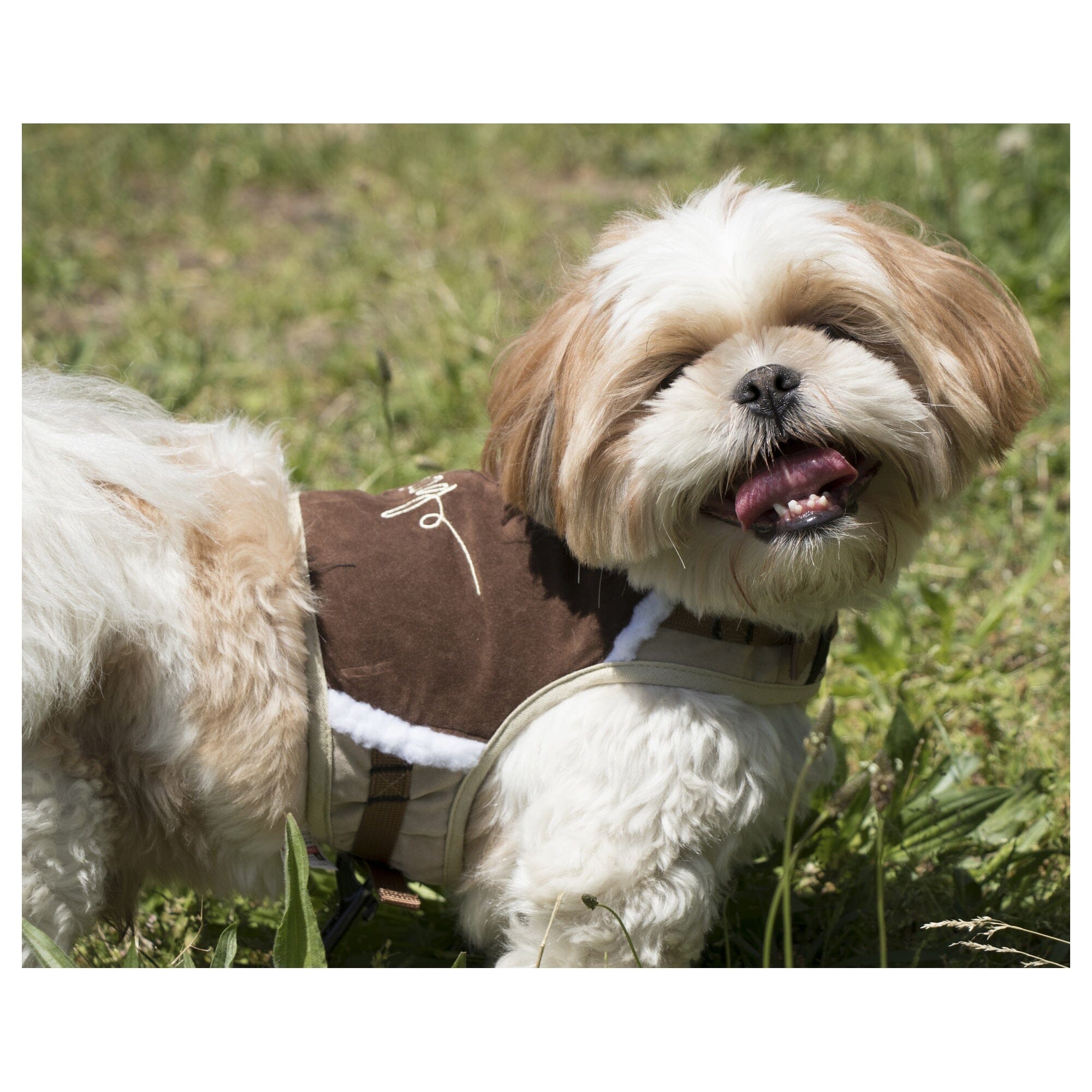 'Tough-Boutique' 2-in-1 Adjustable Fashion Dog Harness and Leash