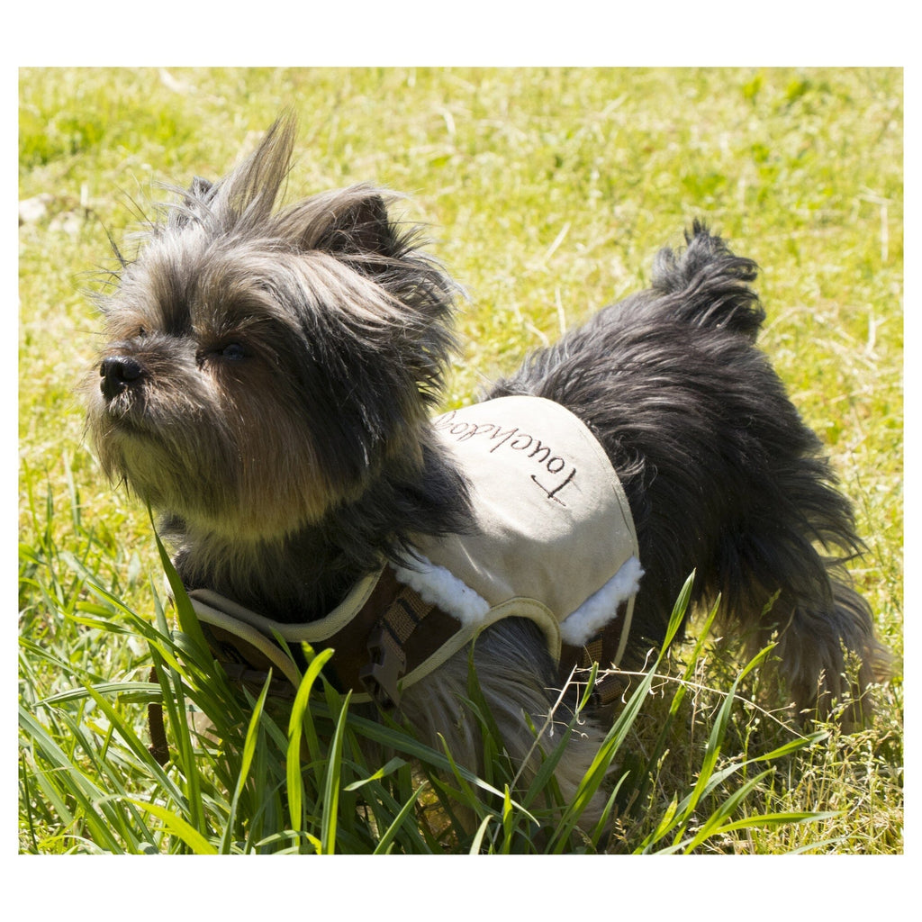 'Tough-Boutique' 2-in-1 Adjustable Fashion Dog Harness and Leash
