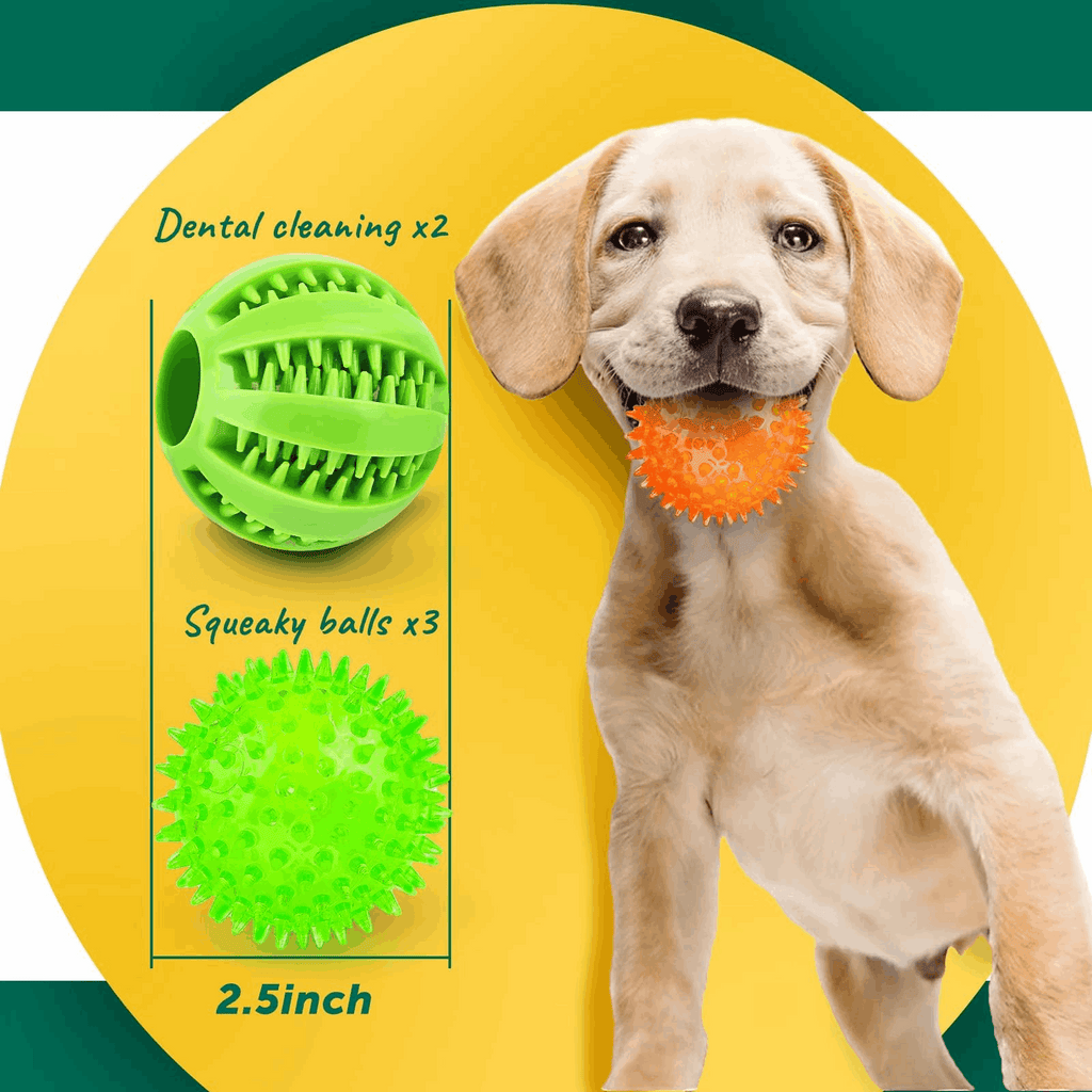 2.5” Squeaky Interactive Dog Balls for Puppy Teething