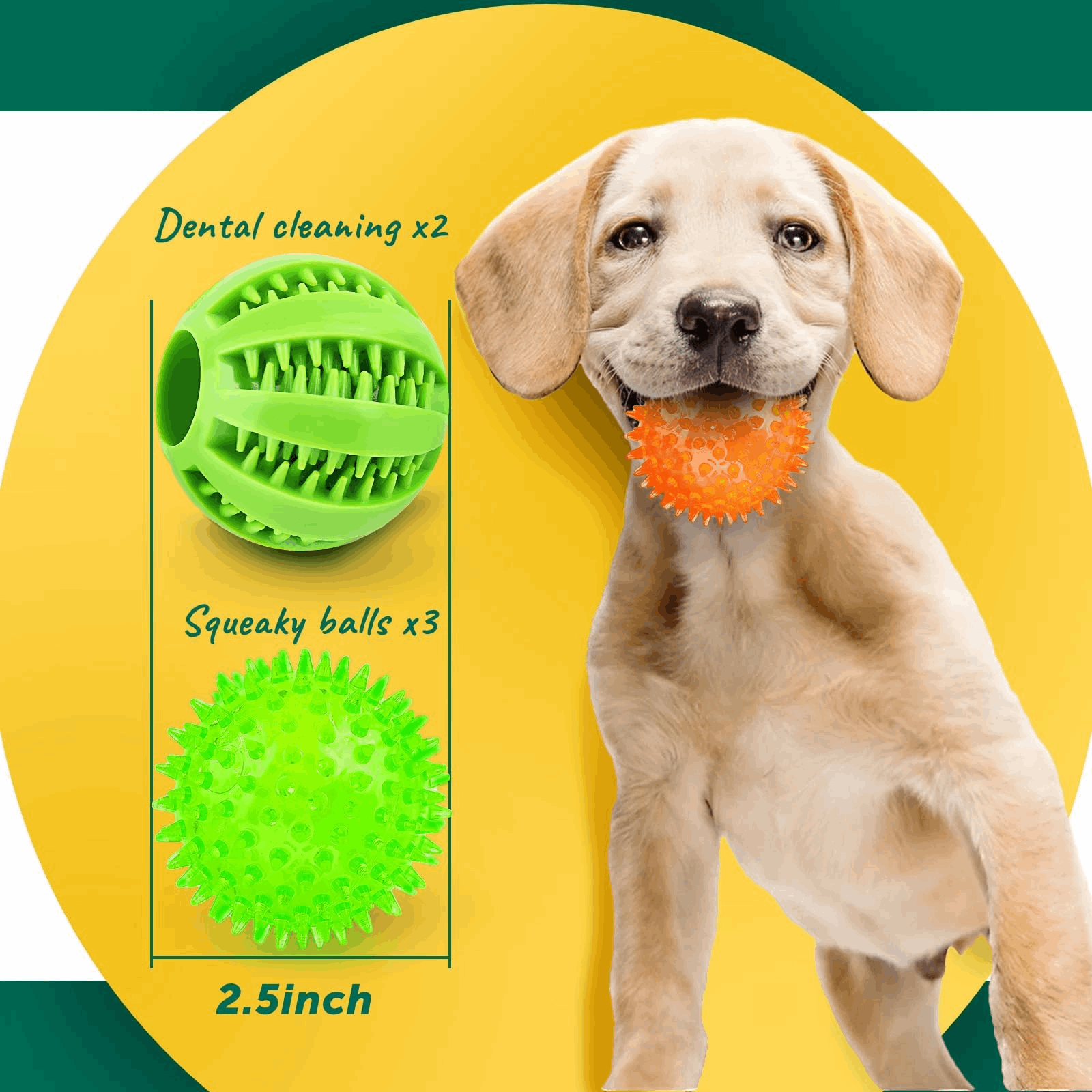 2.5” Squeaky Interactive Dog Balls for Puppy Teething