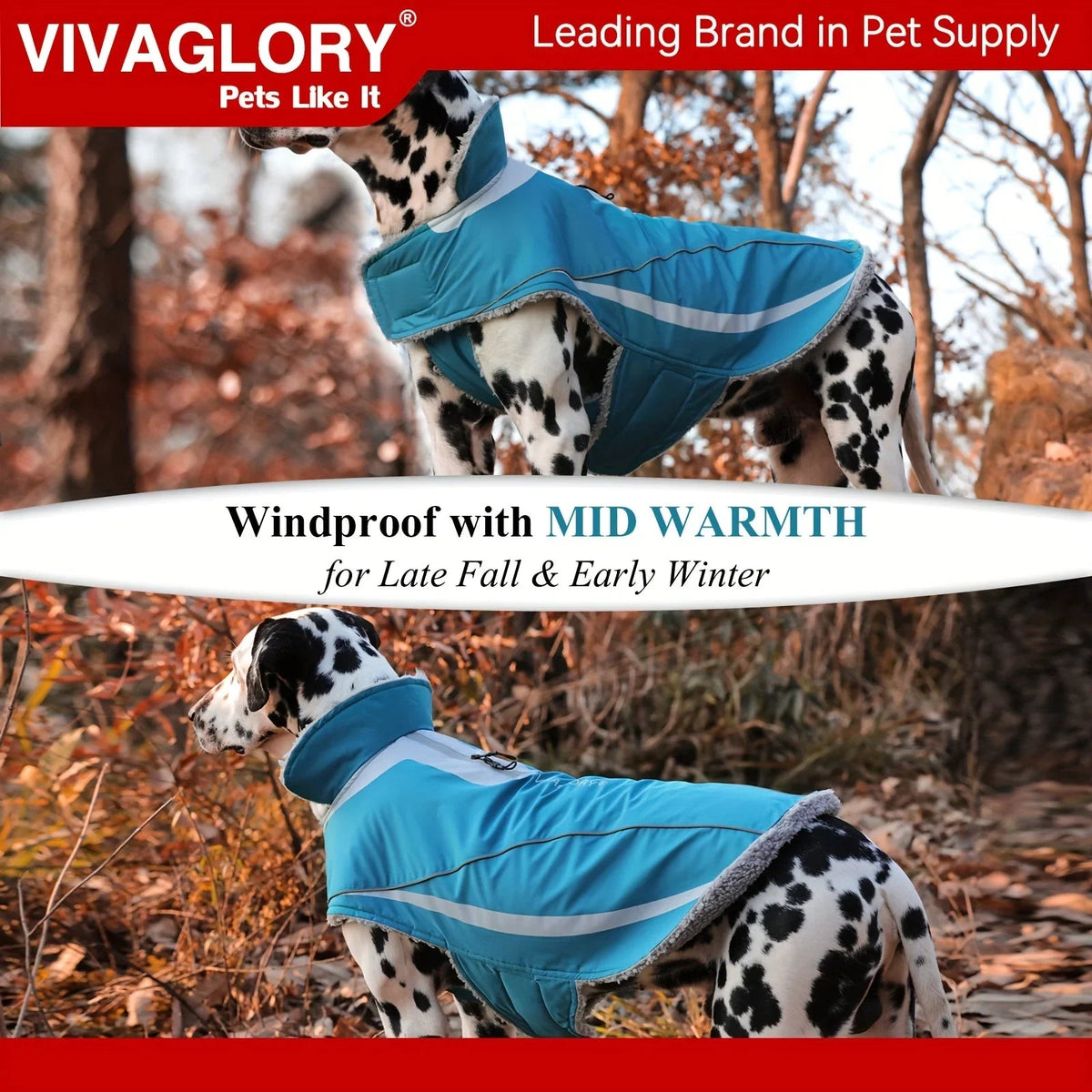 Dog Coat For Winter