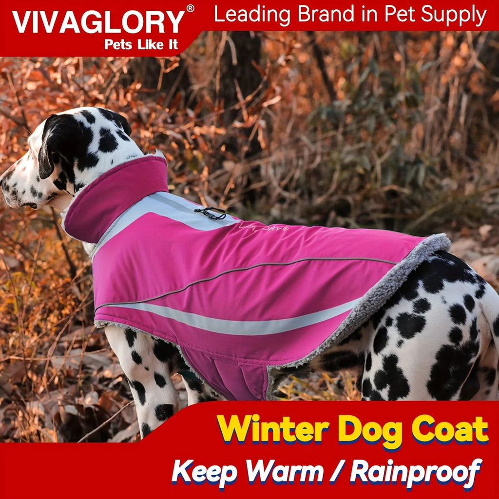 Dog Coat For Winter