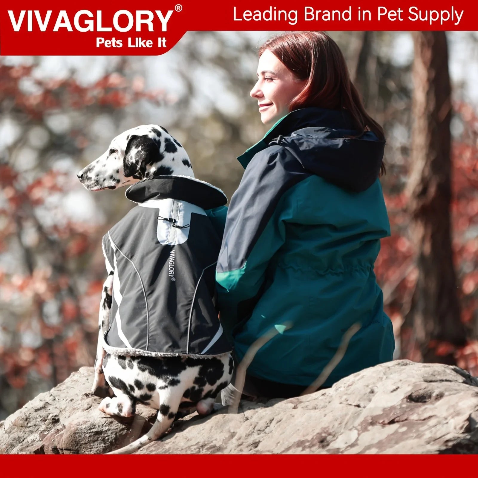 Dog Coat For Winter