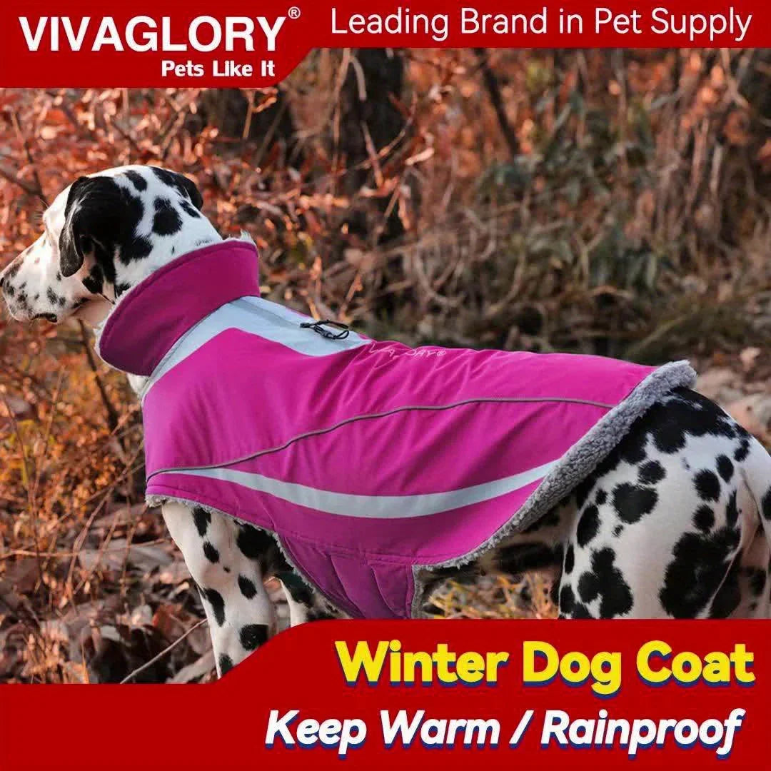 Dog Coat For Winter