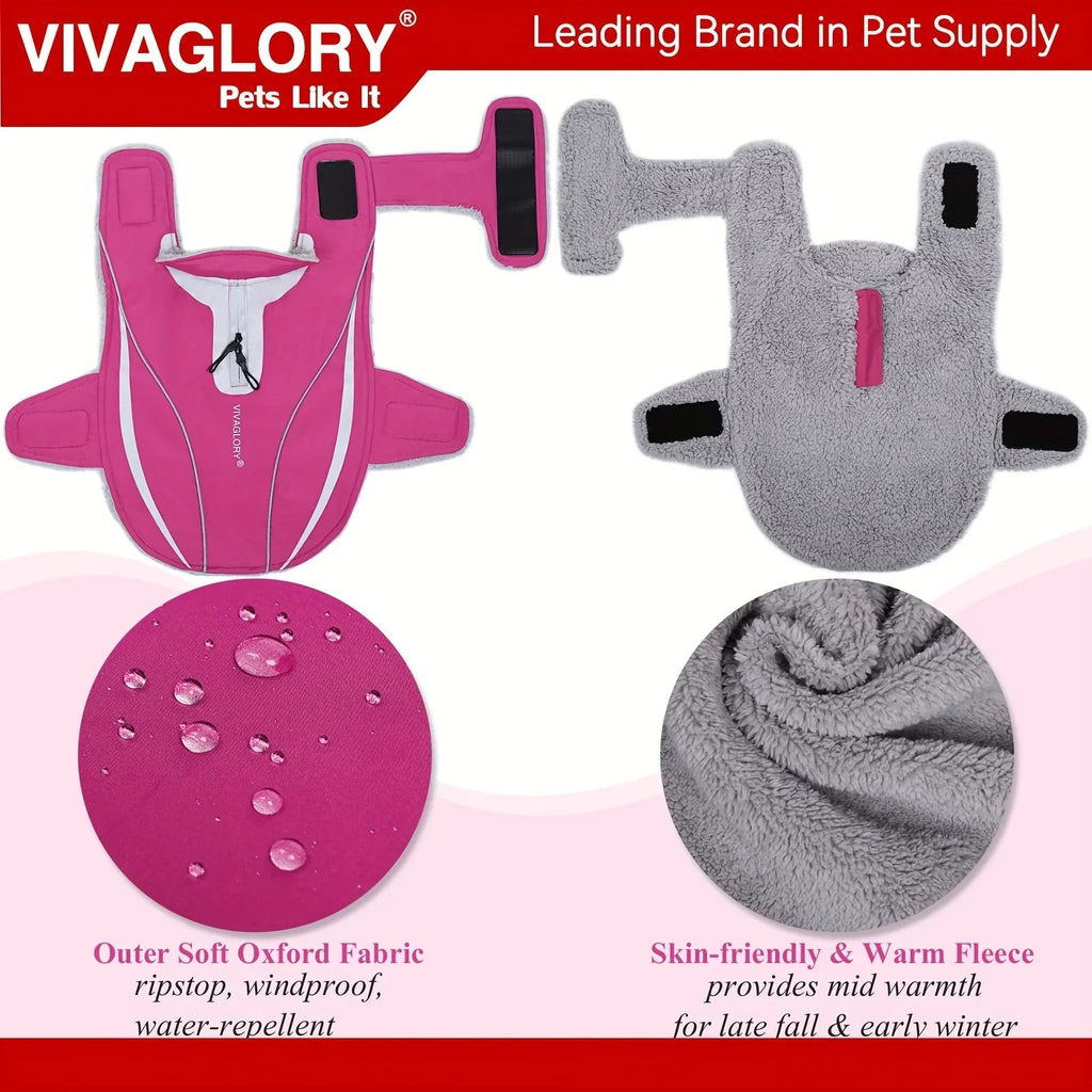 Dog Coat For Winter