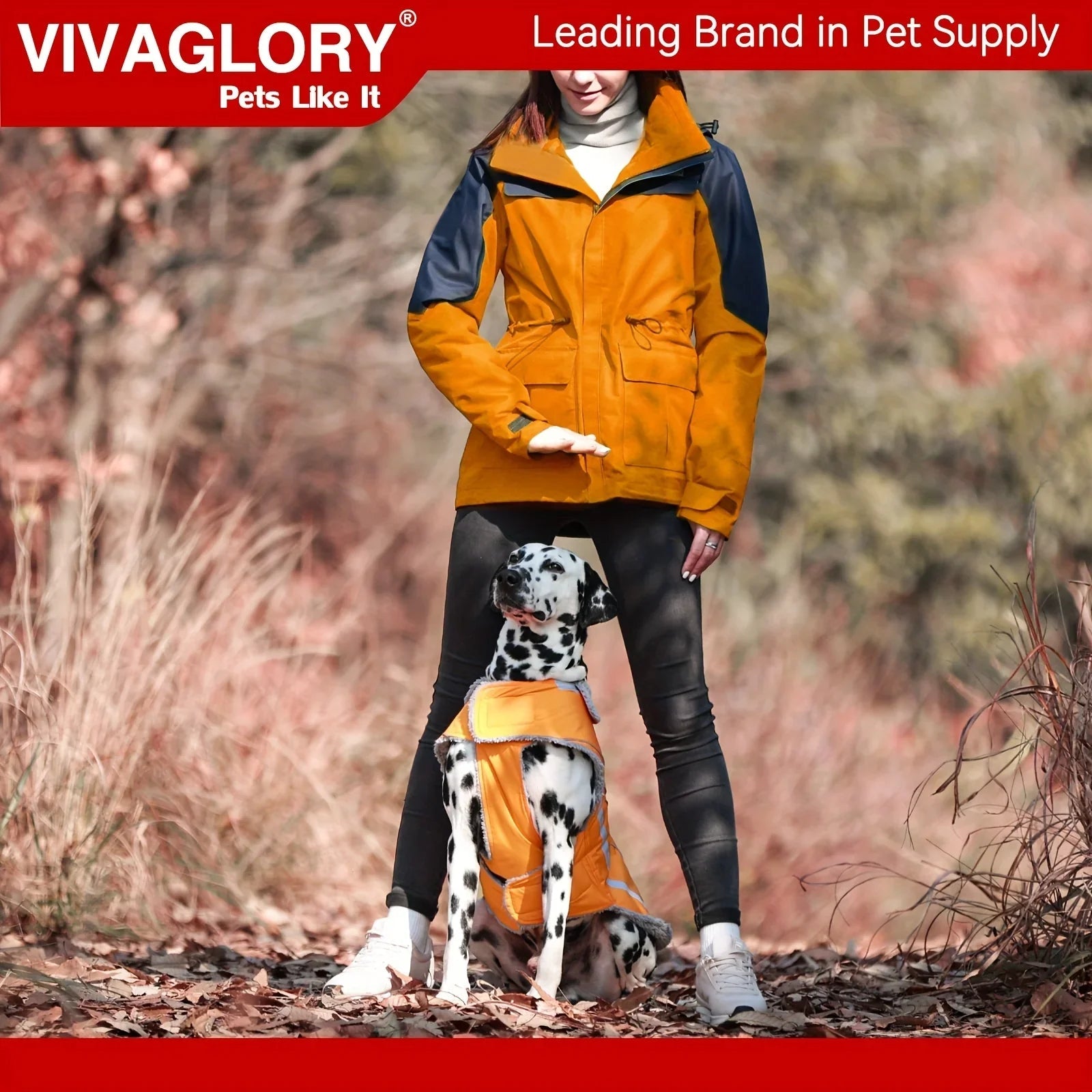 Dog Coat For Winter